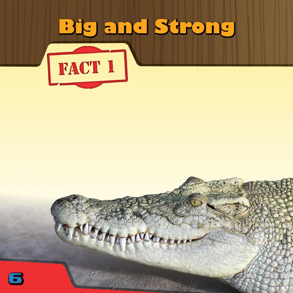 Big and Strong FACT Crocodiles can be longer than a truck The dwarf - photo 8