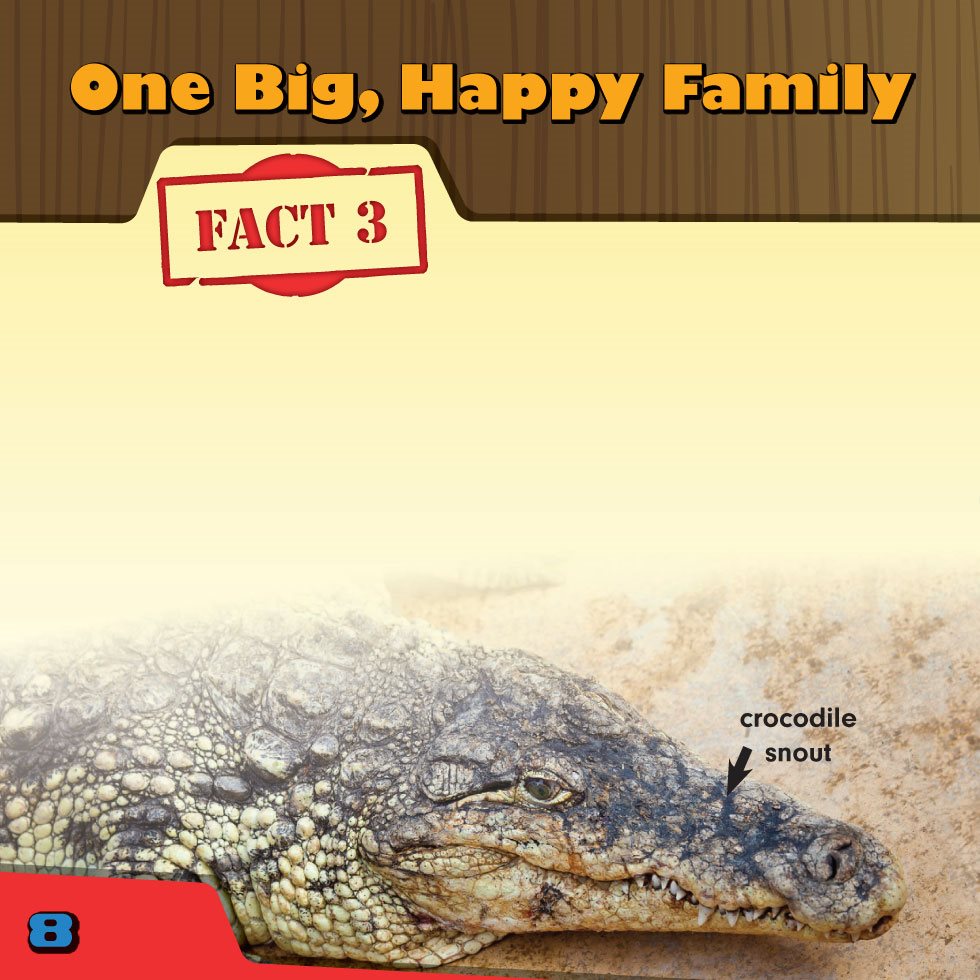 One Big Happy Family FACT Crocodiles have been around for about million - photo 10