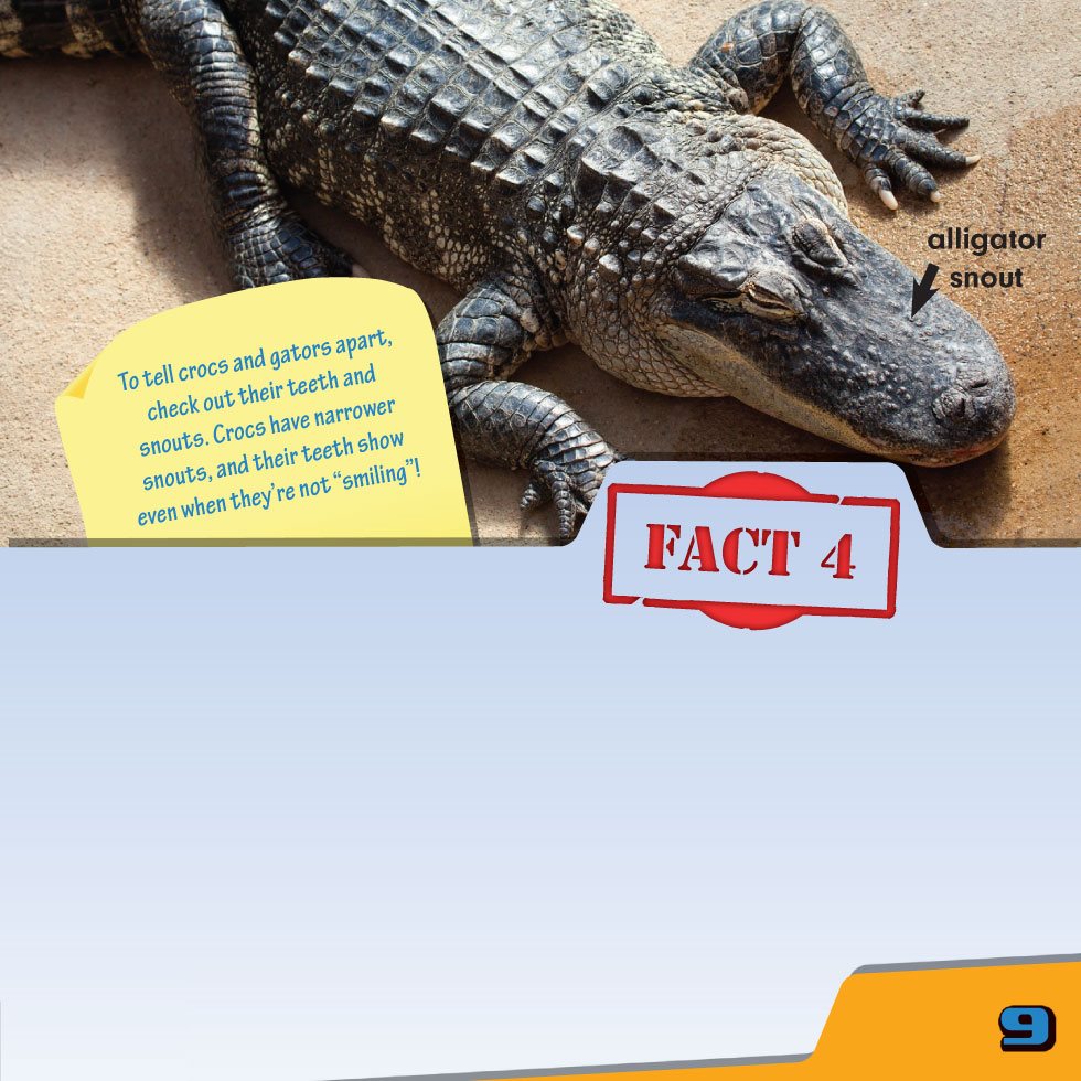 FACT Crocodiles are more closely related to birds than to lizards - photo 11