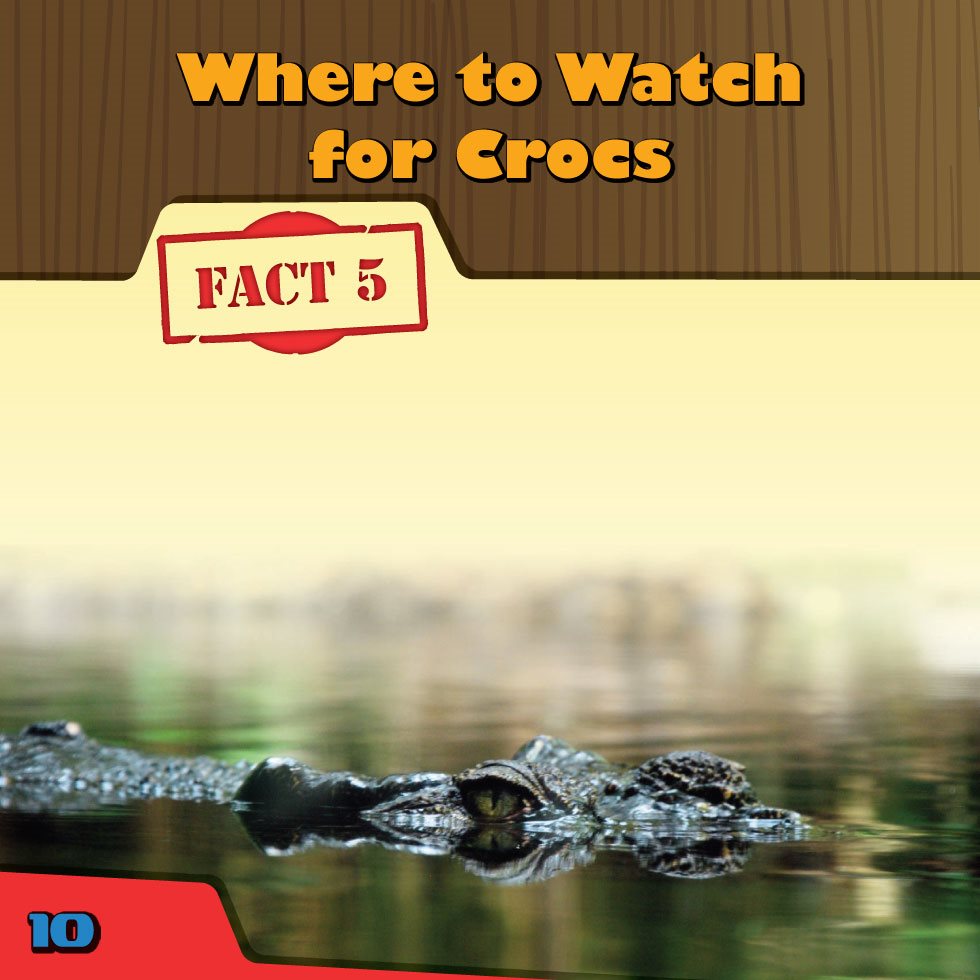 Where to Watch for Crocs FACT Crocodiles are most at home in the water - photo 12