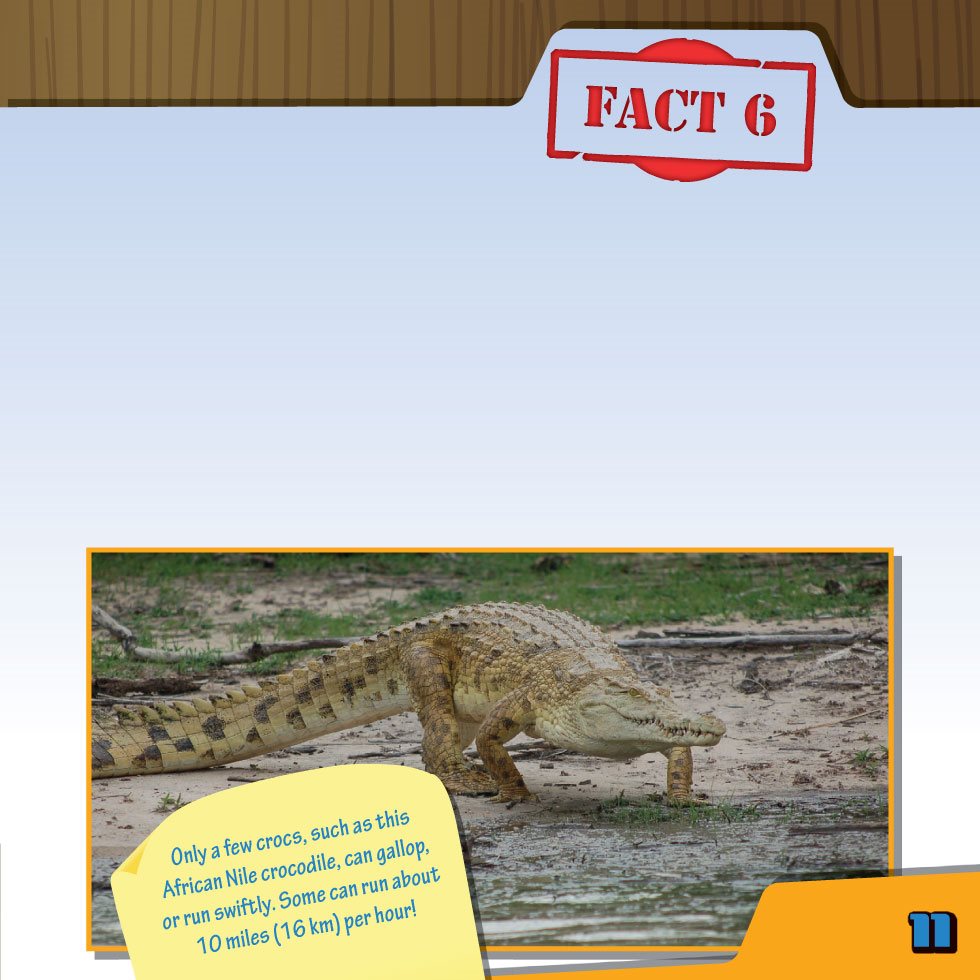 FACT Crocodiles can run miles 16 km per hour on land Crocs like to - photo 13