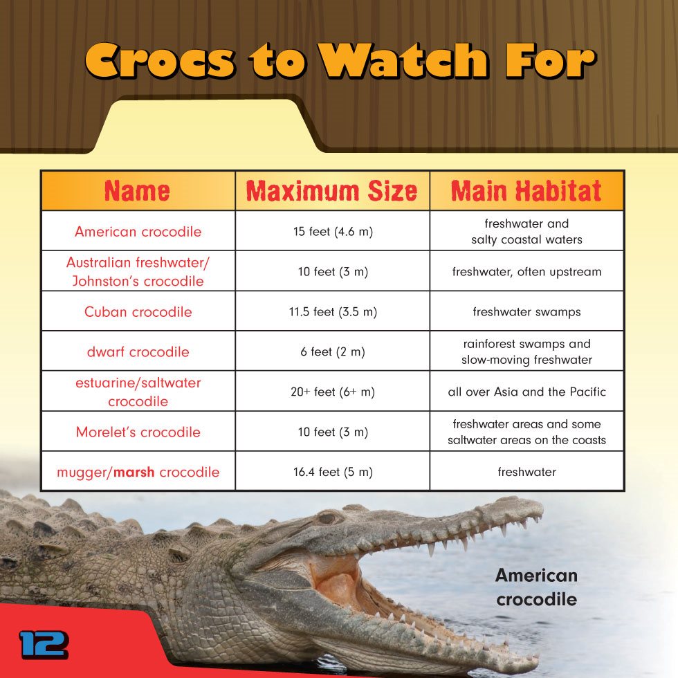 Crocs to Watch For Name Maximum Size Main Habitat American crocodile feet - photo 14