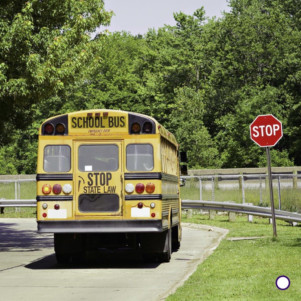 Some bus drivers have the same route every day They stop at the same - photo 11