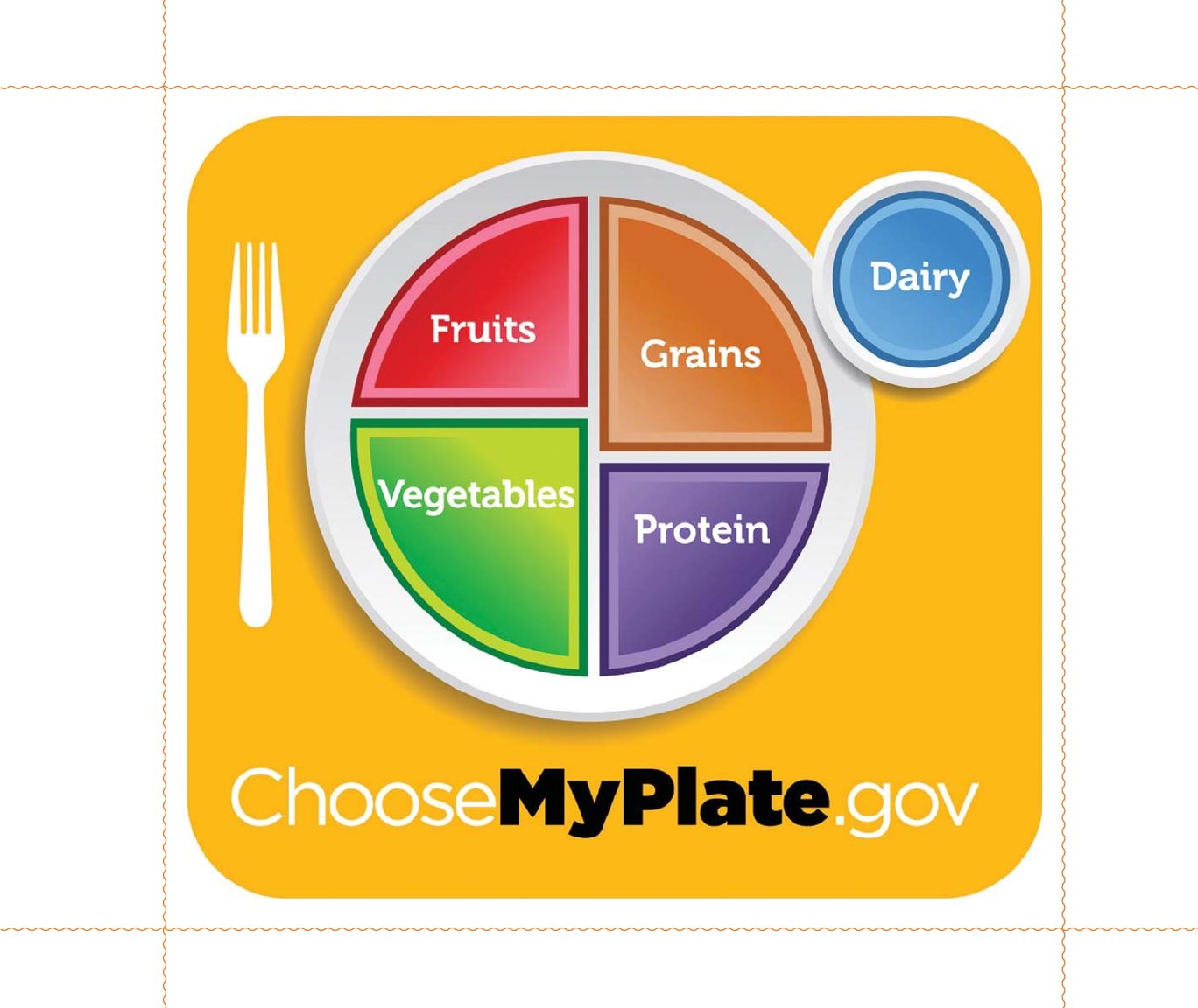 Milk is a dairy food Dairy is one of the main food groups on MyPlate It is - photo 7