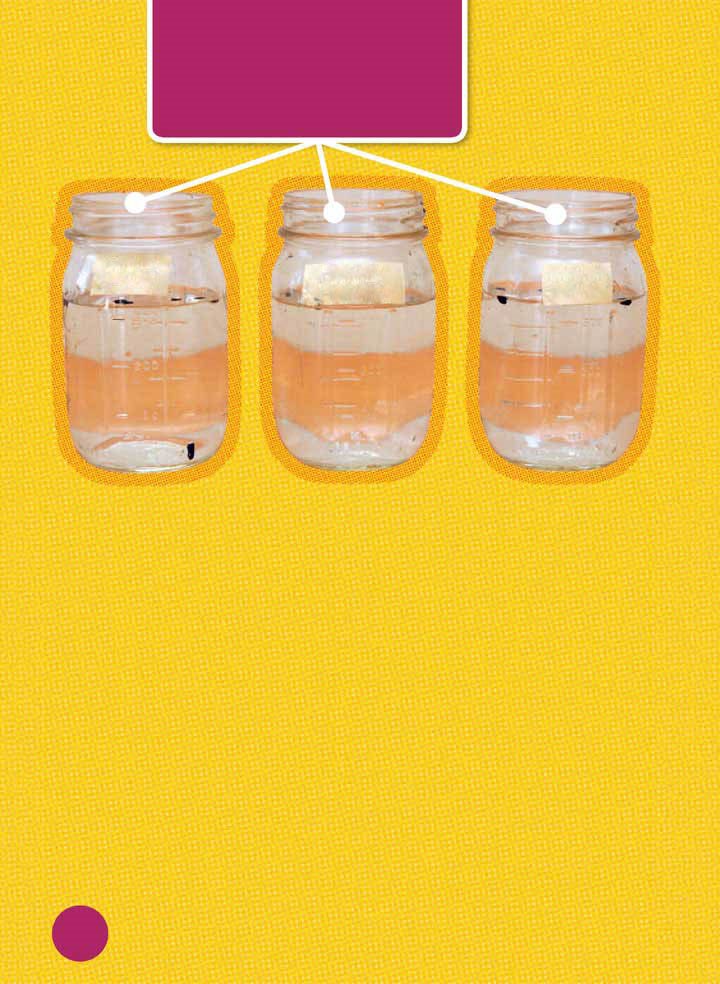 Label your jars Cold Room Temp and Hot Put your jars in a spot - photo 8