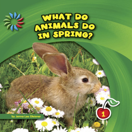 Jenna Lee Gleisner What Do Animals Do in Spring?