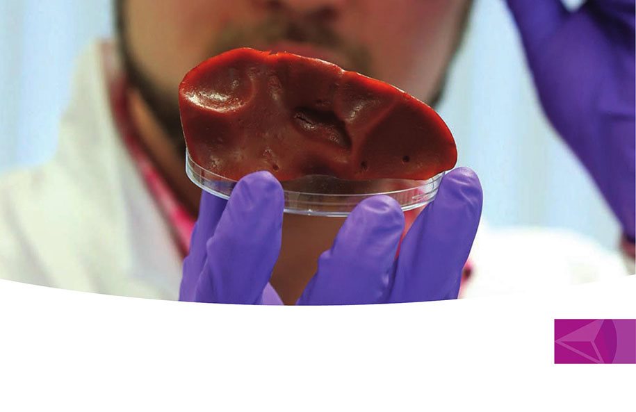 Scientists are working on ways to 3D-print organs for people with health - photo 9