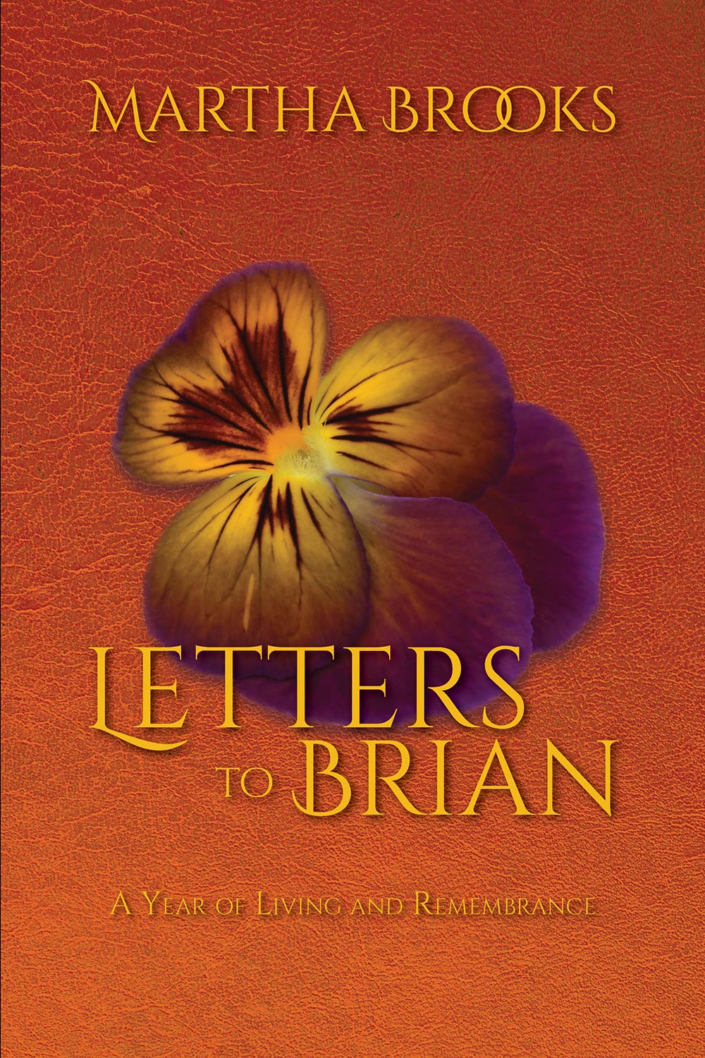 Letters to Brian Letters to Brian A YEAR OF LIVING AND REMEMBRANCE by Martha - photo 1