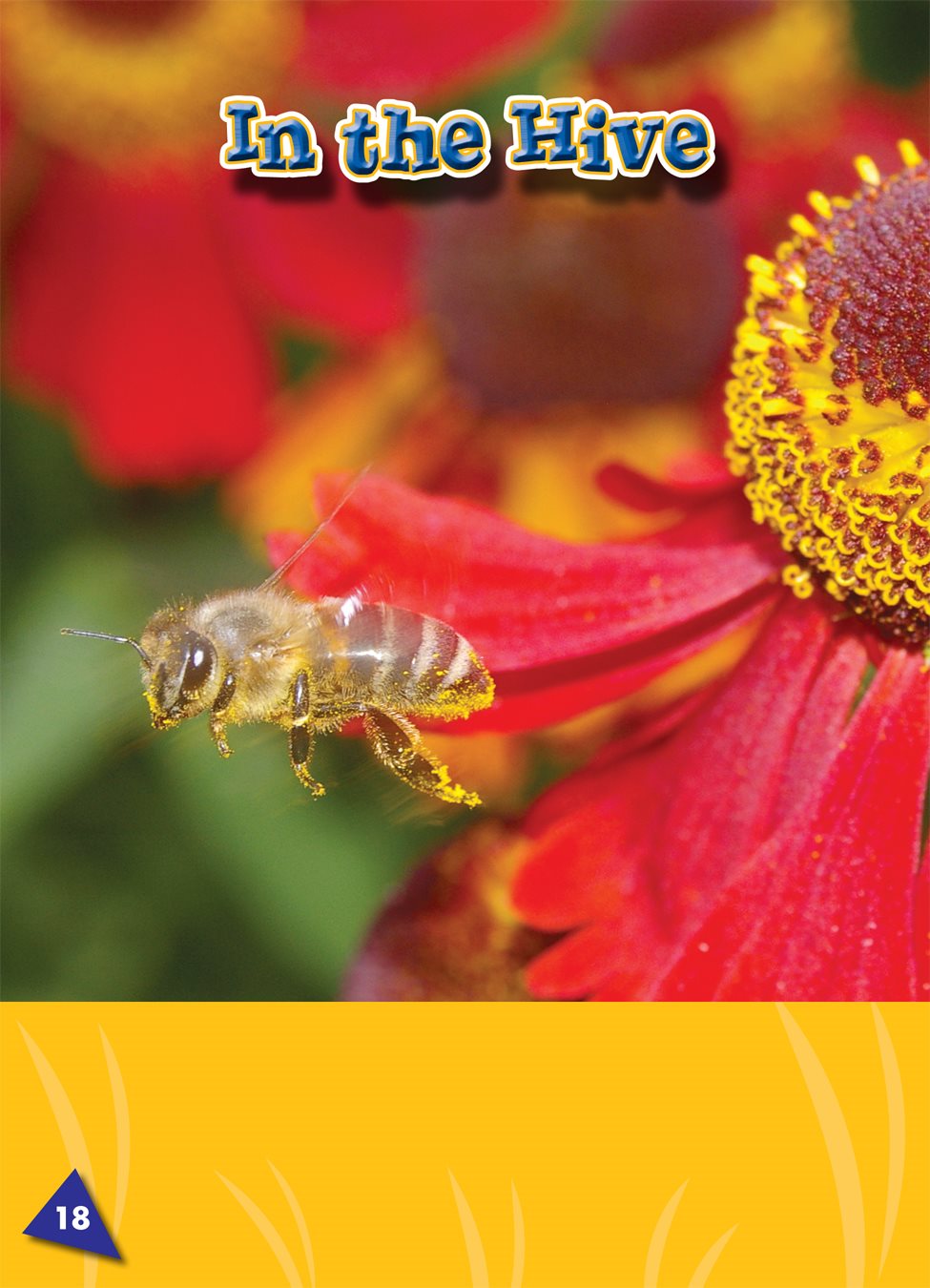 Honey bees carry the nectar and pollen to their home Honey bees - photo 22