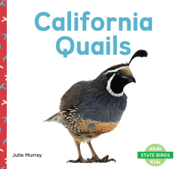 Julie Murray California Quails