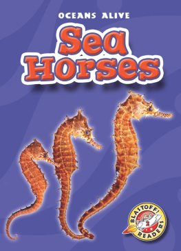 Ann Herriges - Sea Horses