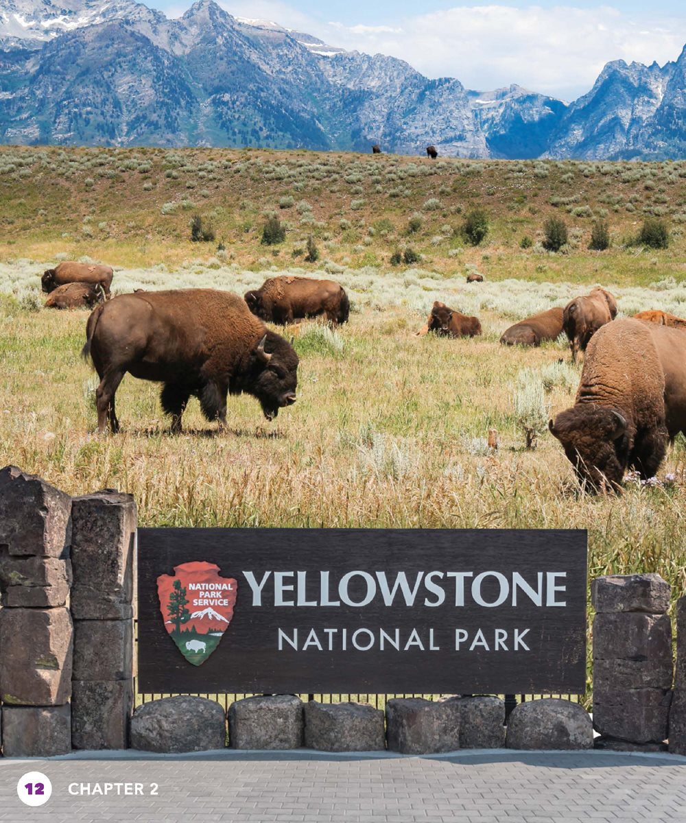 Where were they One place was Yellowstone National Park In 1894 a law - photo 12