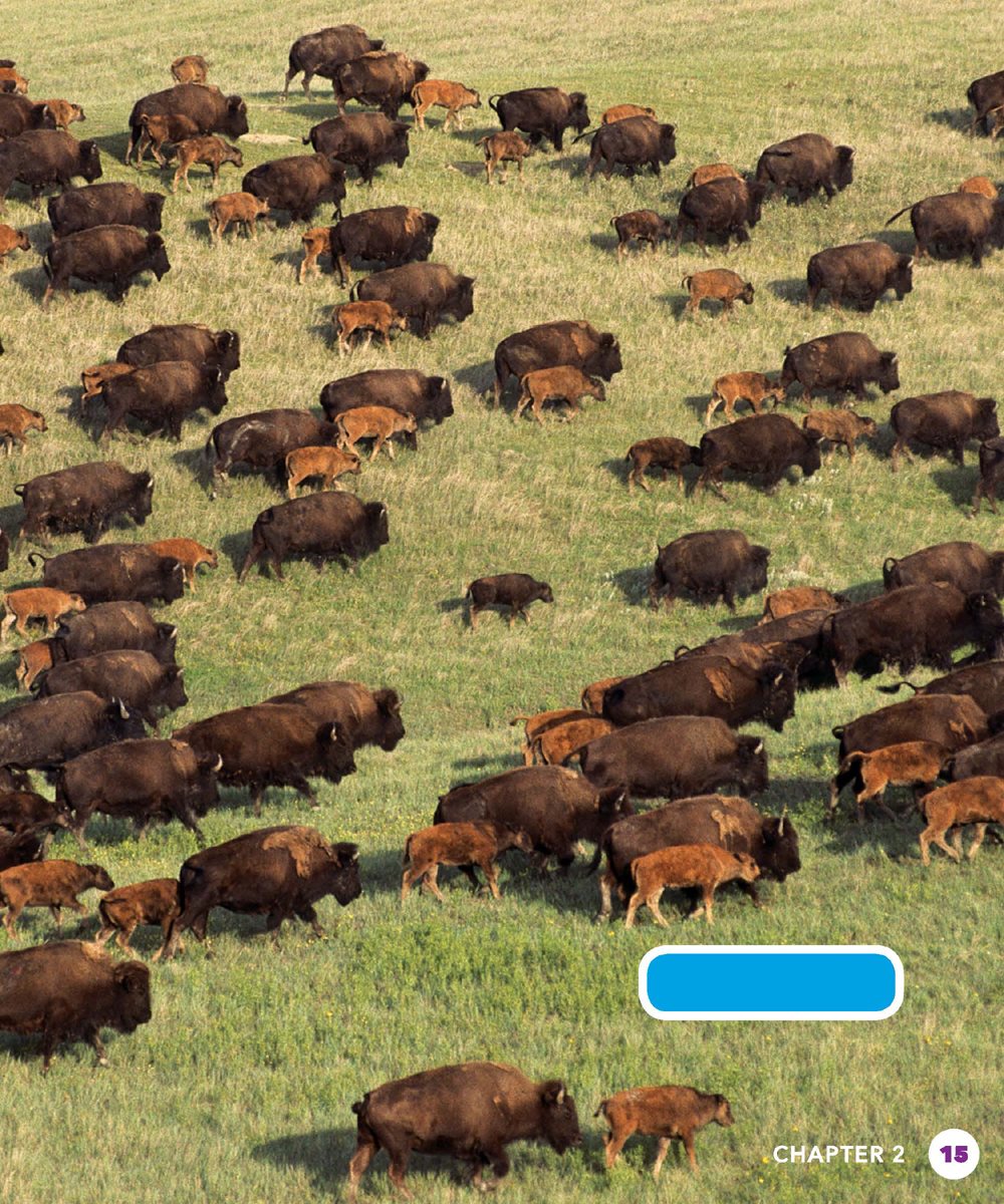 bison reserve CHAPTER BISON TODAY Today bison roam and mountains - photo 15