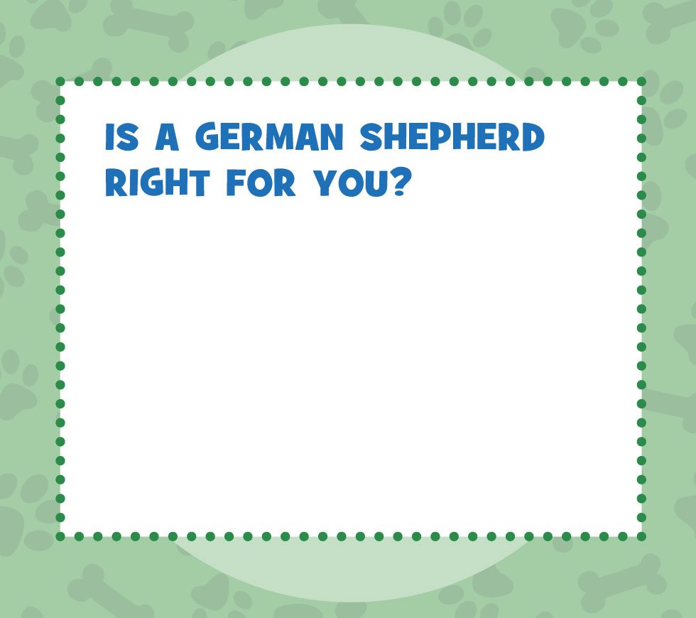 IS A GERMAN SHEPHERD RIGHT FOR YOU German shepherds are best for families - photo 6