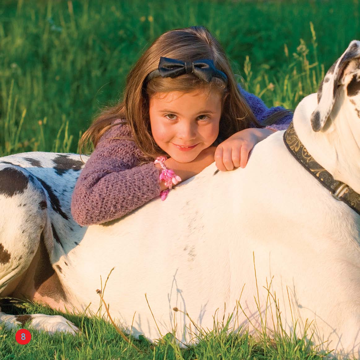 Dont be scared This dog is sweet It is a gentle giant Great Danes - photo 8