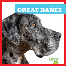 Nadia Higgins Great Danes