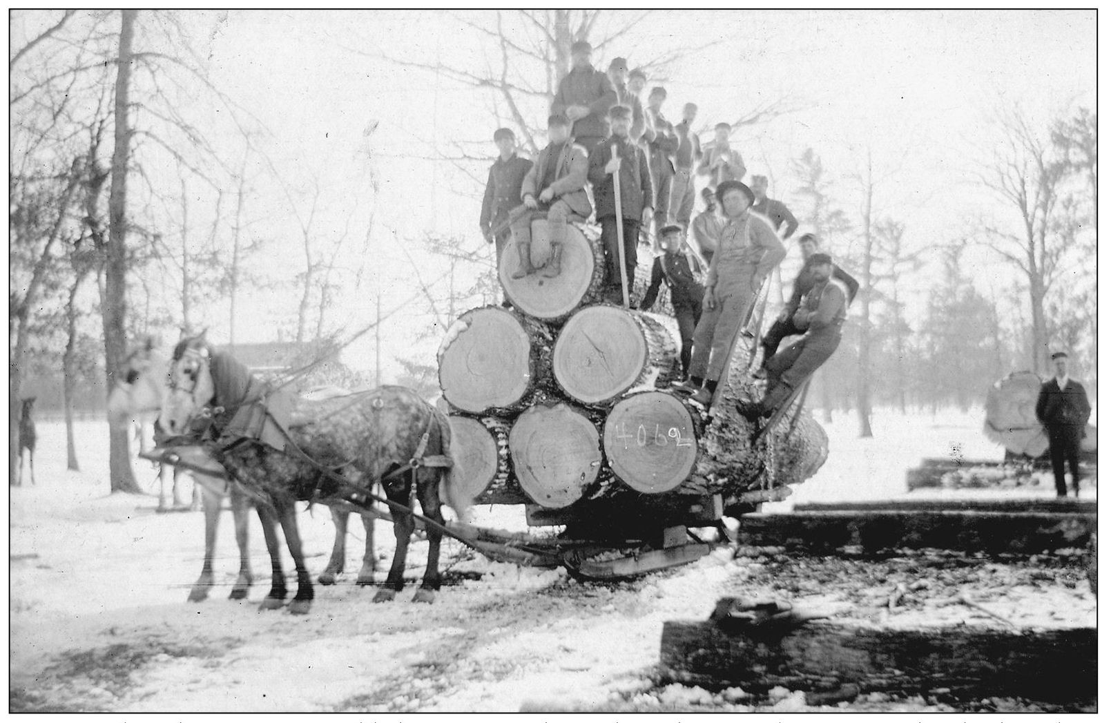 Every settler who came to establish a farm in the earliest days of Alpine - photo 4