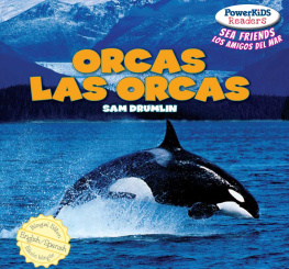 Eduardo Alamán - Orcas / Las Orcas