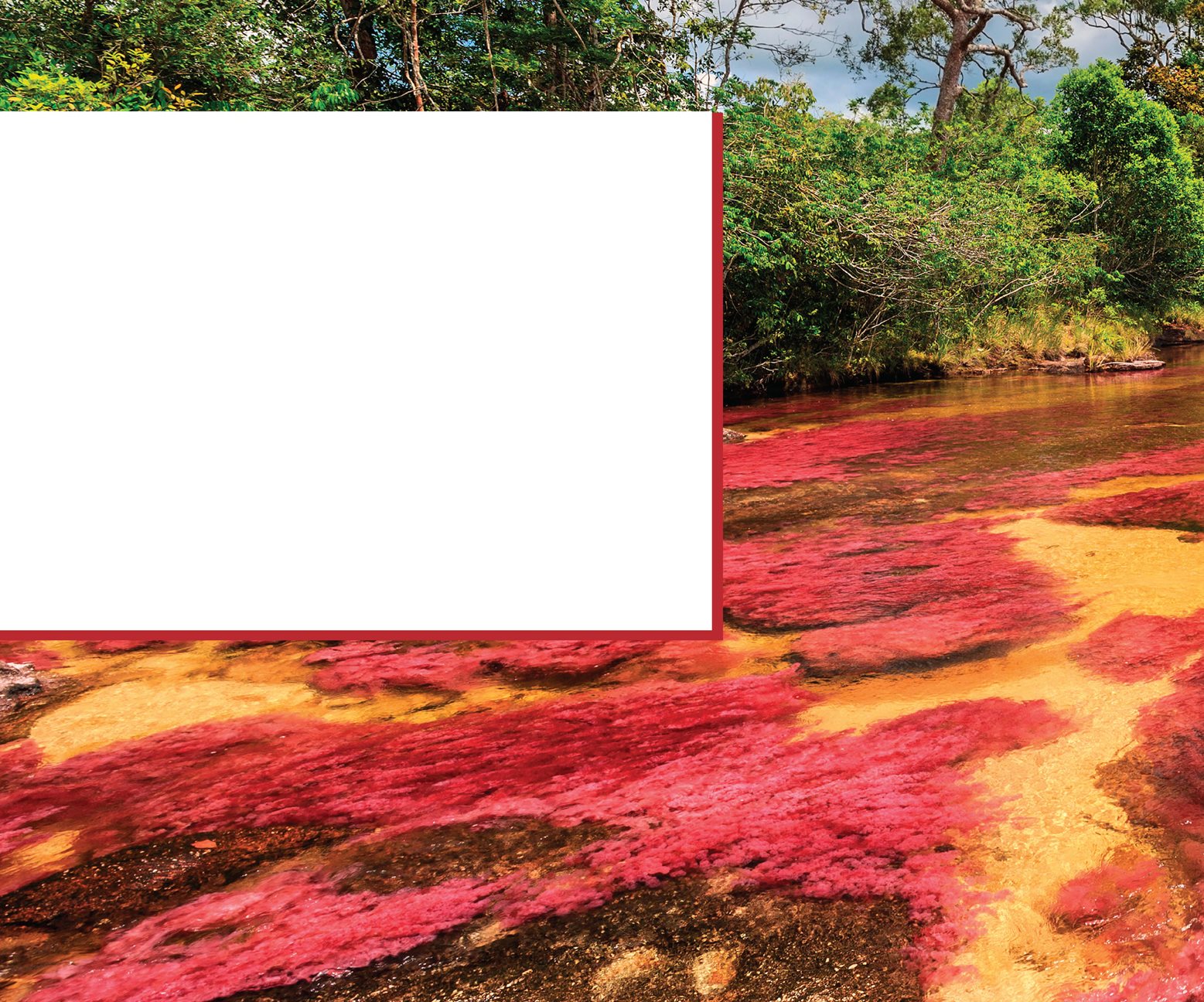 Famous Site Cao Cristales is a famous Colombian river It changes colors - photo 22