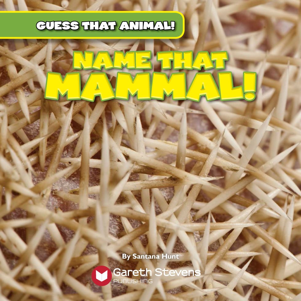 GUESS THAT ANIMAL NAME THAT MAMMAL By Santana Hunt Please - photo 3