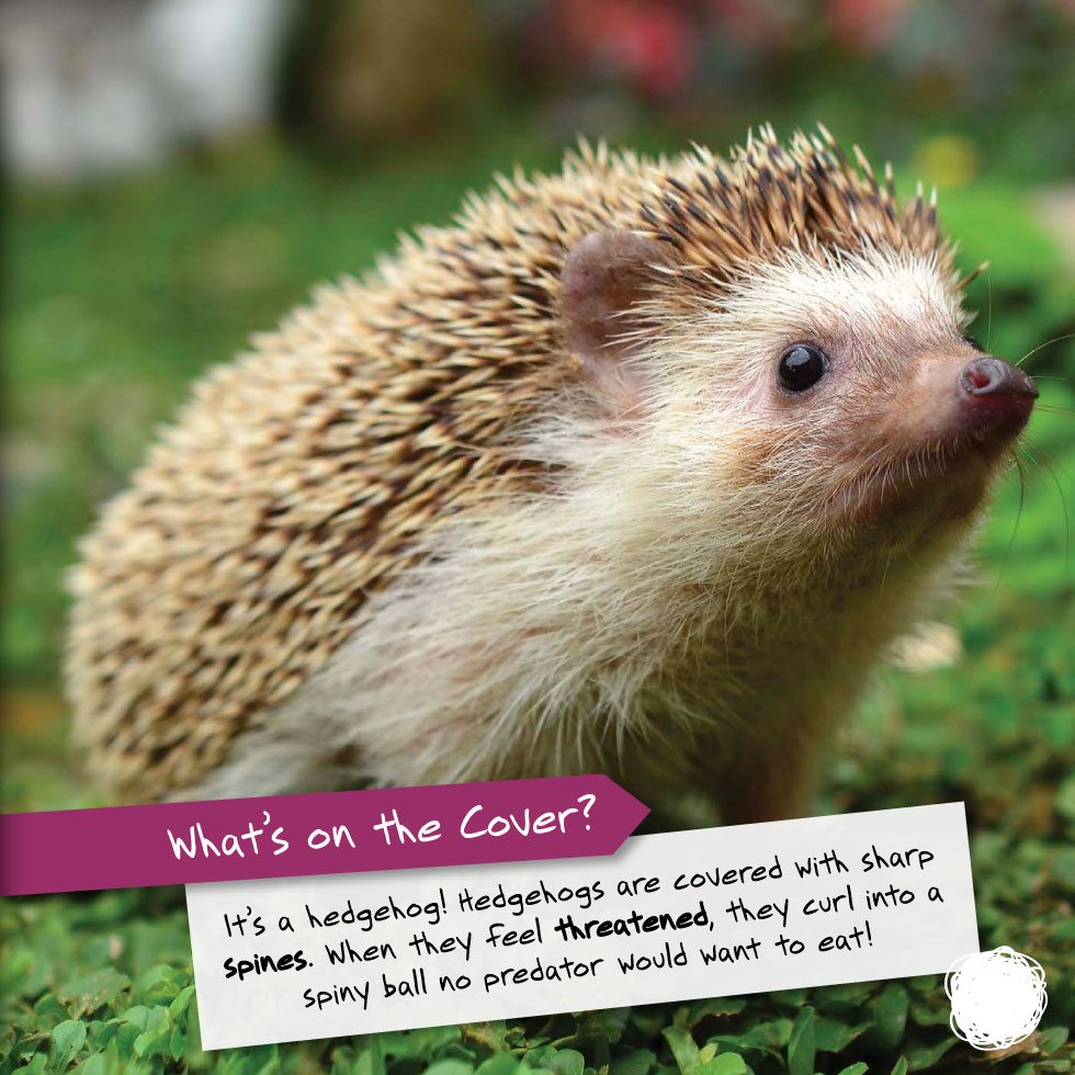 Whats on the Cover Its a hedgehog Hedgehogs are covered with sharp spines - photo 7