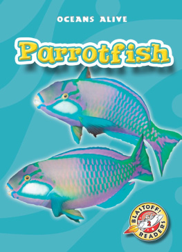 Martha E. H. Rustad - Parrotfish