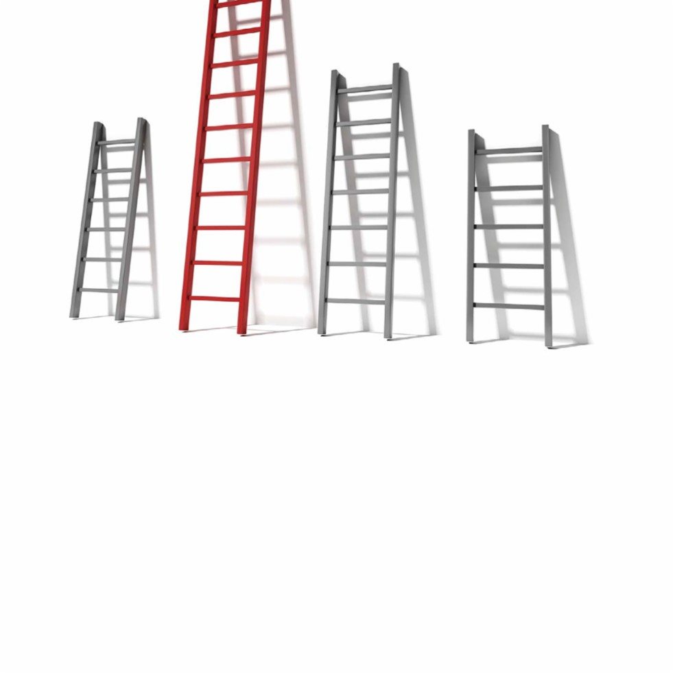 These ladders are different sizes These ladders are short - photo 14