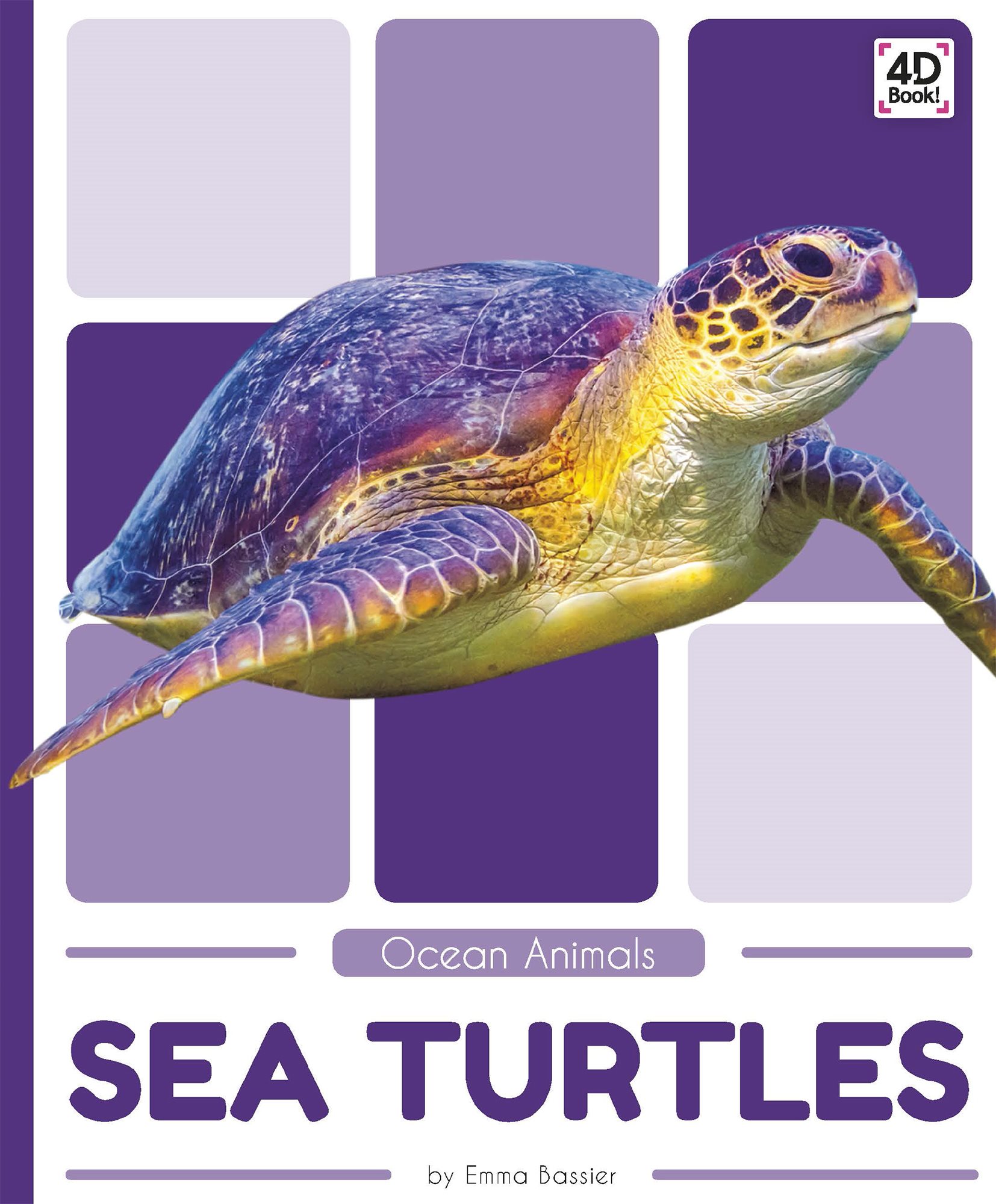 SEA TURTLES by Emma Bassier Cody Koala An Imprint of Pop popbooksonlinecom - photo 1