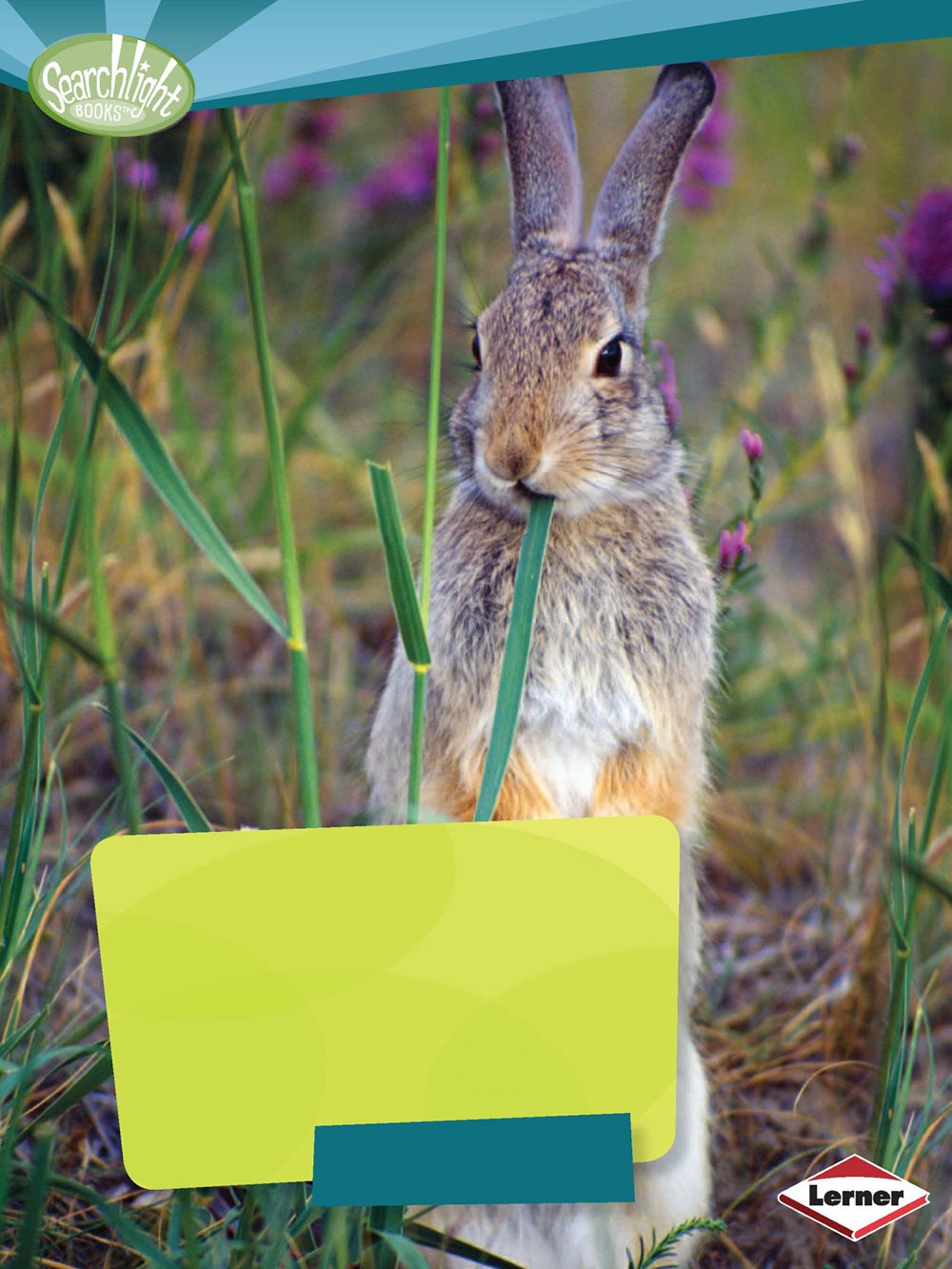 Grassland Food Webs in Action Paul Fleisher Copyright 2014 by Lerner - photo 1