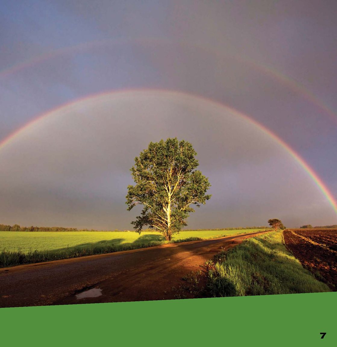 Rainbows appear when it is rainy and sunny at the same time The Right - photo 9