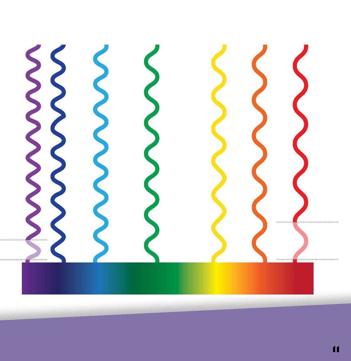 long Violet has the shortest wavelength Red has the longest wavelength - photo 13