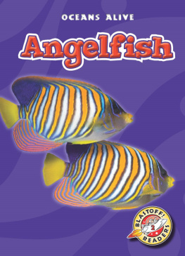 Colleen Sexton Angelfish