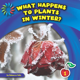 Rebecca Felix - What Happens to Plants in Winter?