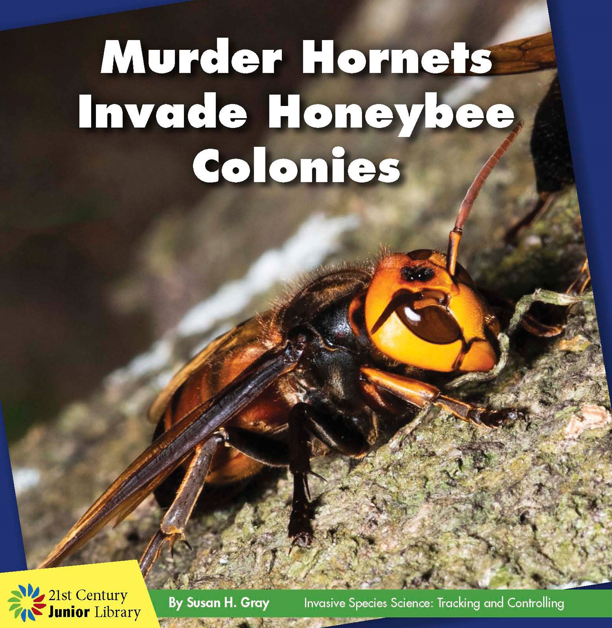 Murder Hornets Invade Honeybee Colonies By Susan H Gray 21st Century Junior - photo 1