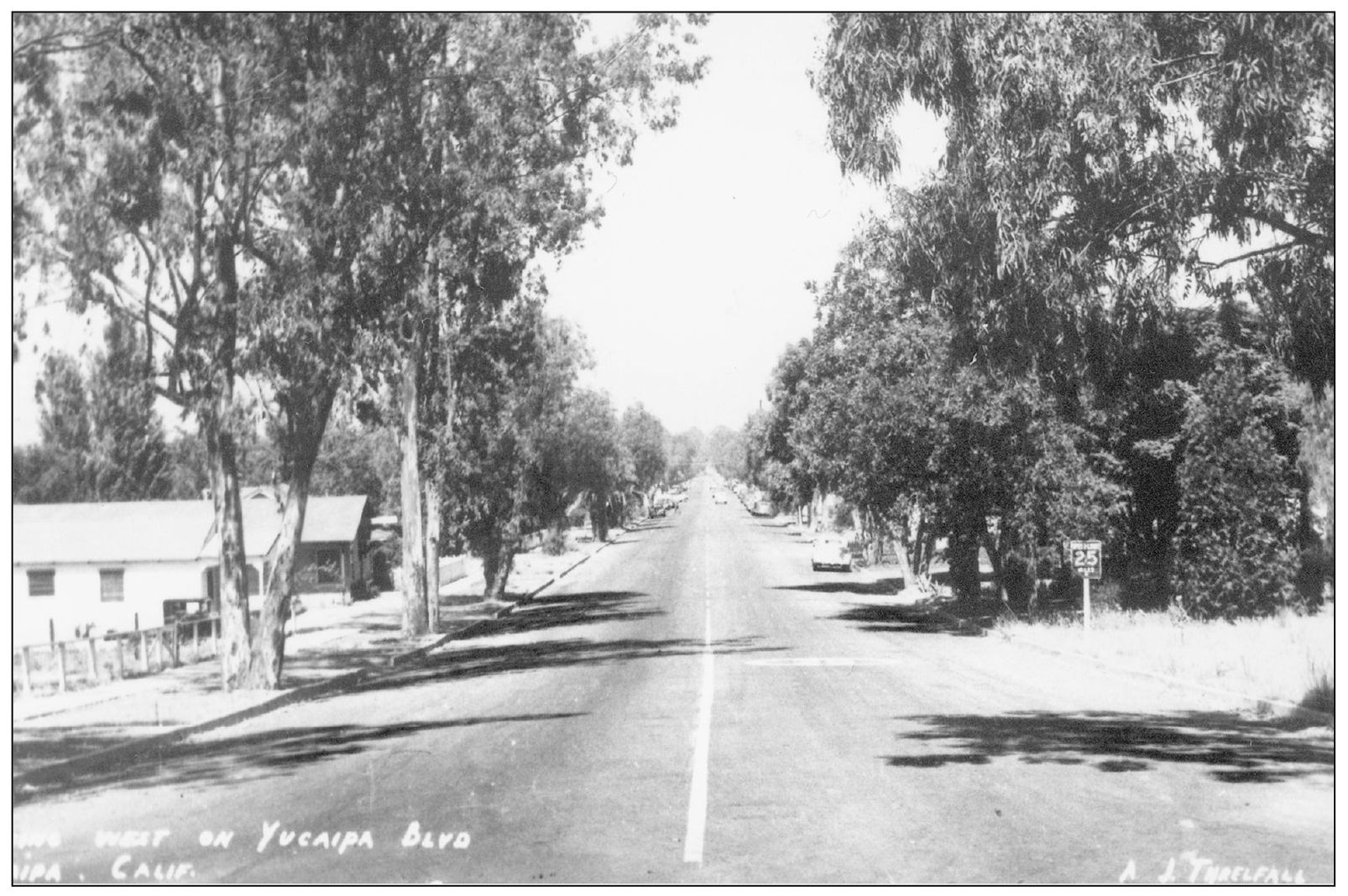 This A J Threlfall photograph of Yucaipa Boulevard taken west of Bryant - photo 5