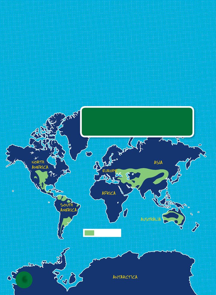 Grassland biomes are found around the world They can be tropical or - photo 6