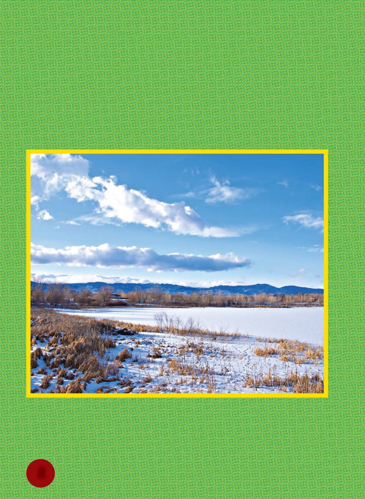 In winter the prairie can be freezing cold and covered in snow Trees - photo 8