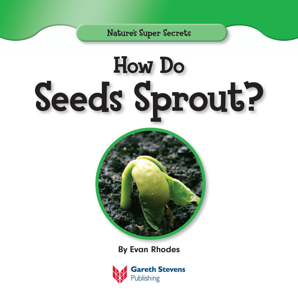 Natures Super Secrets How Do Seeds Sprout By Evan Rhodes Please - photo 3