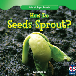 Evan Rhodes How Do Seeds Sprout?