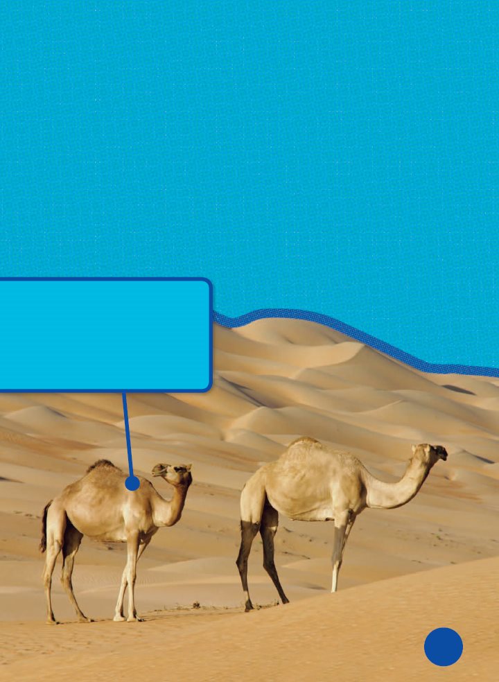 Other mammals live in hot deserts A camels furry coat protects it from the - photo 12