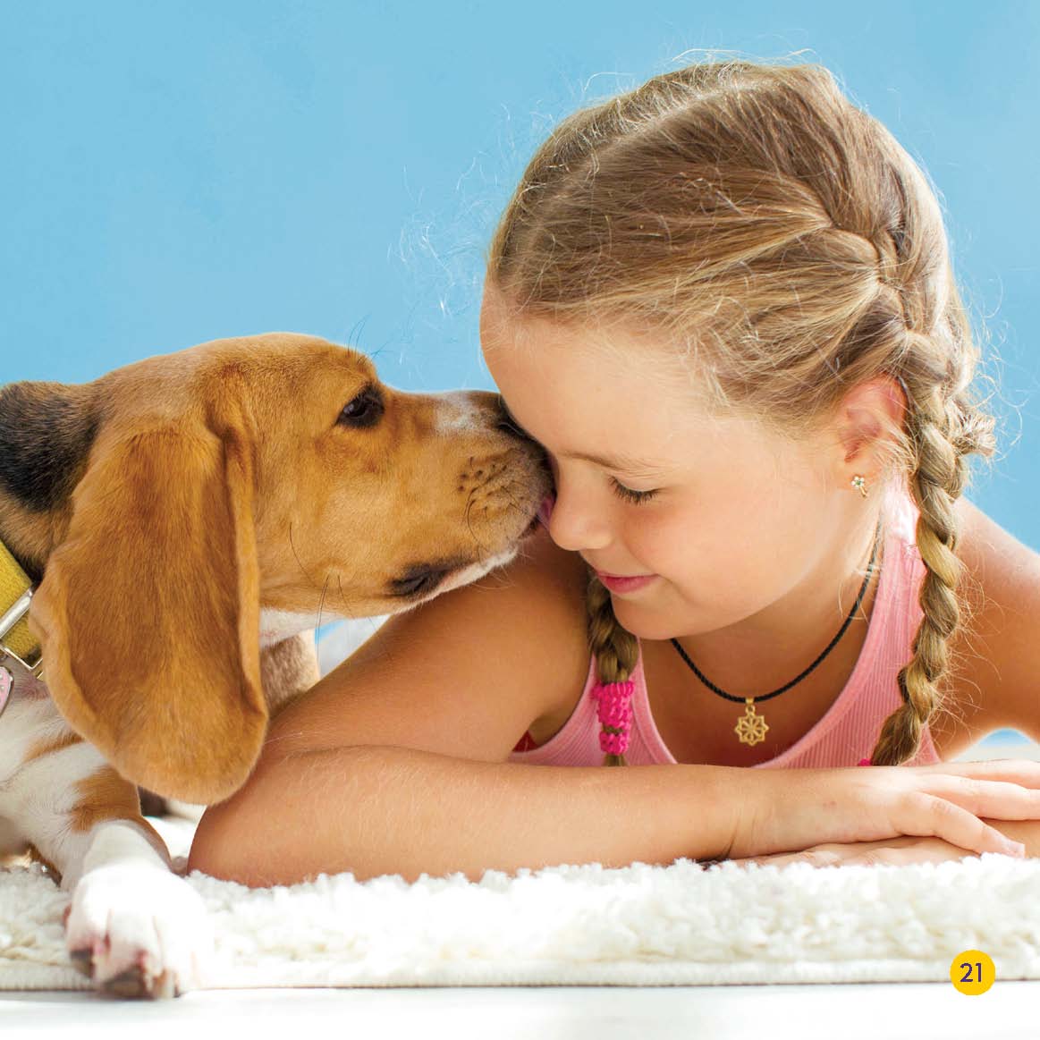 A Beagle Up Close nose tail coat ear paw Picture Glossary - photo 21