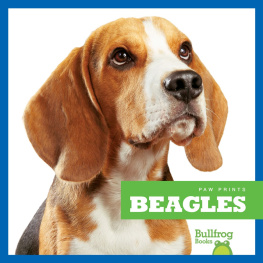 Kaitlyn Duling - Beagles