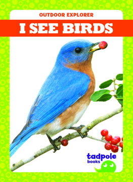 Tim Mayerling - I See Birds