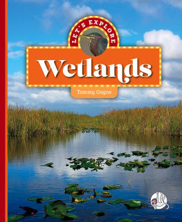 Tammy Gagne - Lets Explore Wetlands