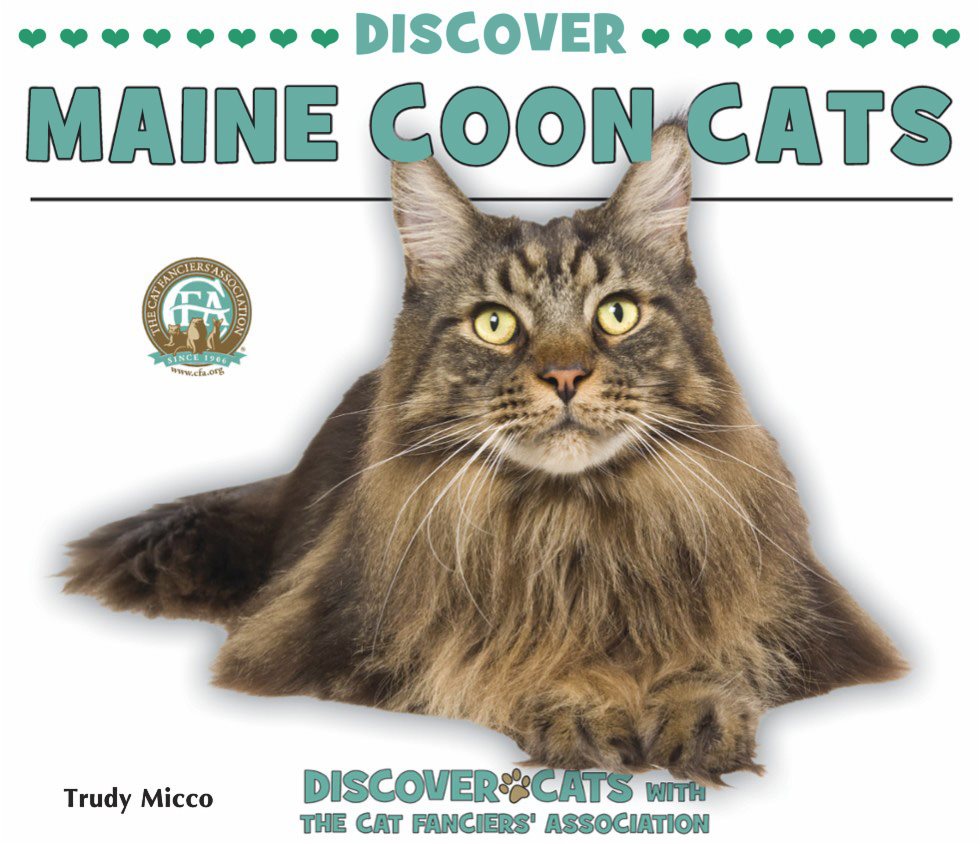 DISCOVER MAINE COON CATS Trudy Micco DISCOVER - photo 1