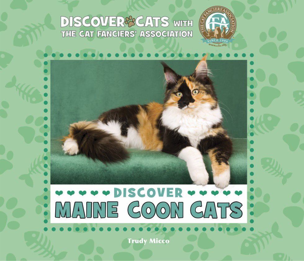 DISCOVER MAINE COON CATS Trudy Micco The Cat Fanciers - photo 3