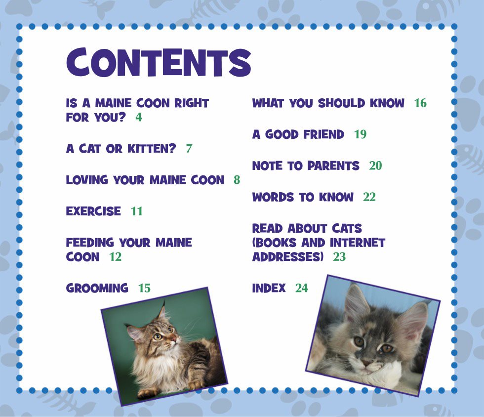 CONTENTS IS A MAINE COON RIGHT FOR YOU WHAT YOU SHOULD KNOW A GOOD FRIEND - photo 5