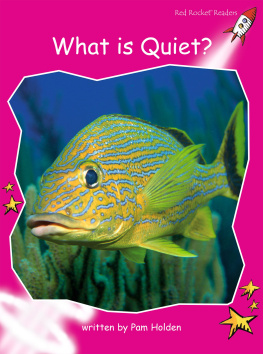 Pam Holden - What Is Quiet?