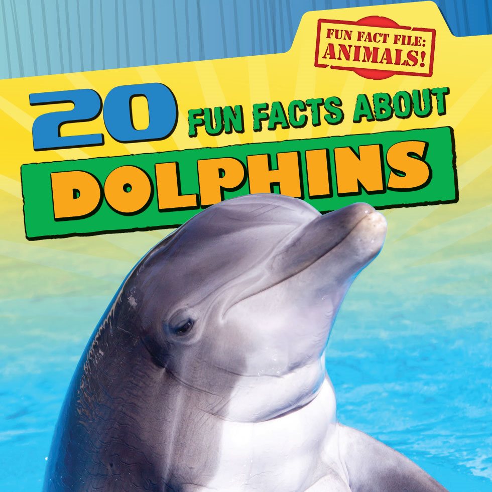 FUN FACTS ABOUT DOLPHINS DOLPHINS DOLPHINS FUN FACTS ABOUT - photo 1