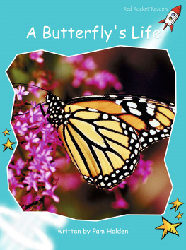 Pam Holden - A Butterflys Life